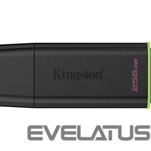 Флеш-накопитель Kingston  MEMORY DRIVE FLASH USB3.2/256GB DTXG2/256GB 