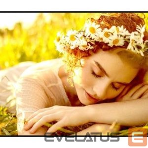 Монитор LG  DISPLAY LCD 55" 4K/55UL5Q-E 
