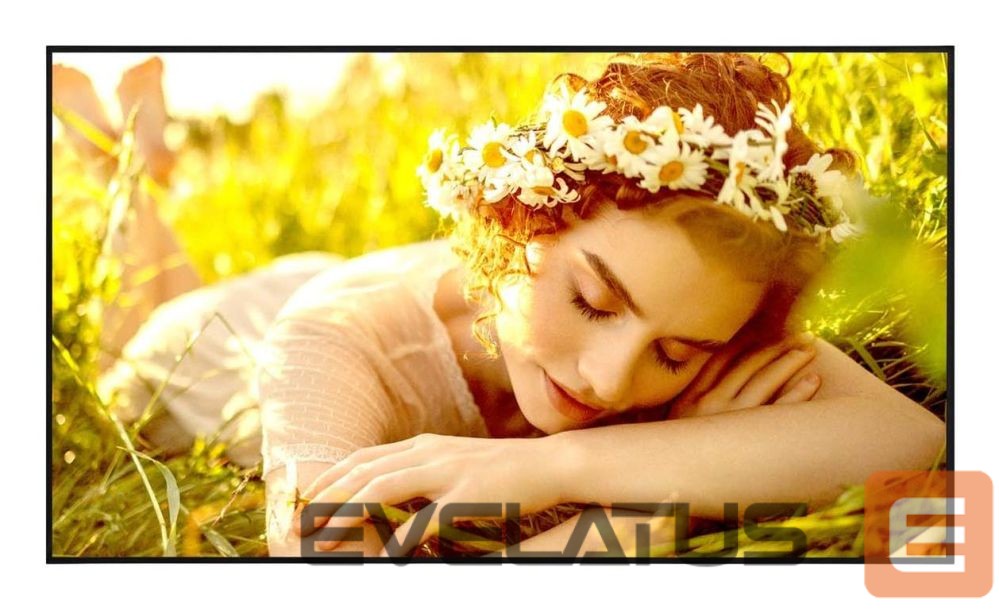 Монитор LG DISPLAY LCD 55" 4K/55UL5Q-E