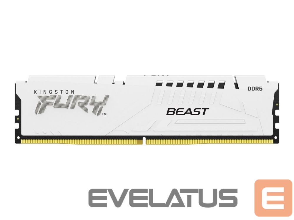 Оперативная память DDR4 Kingston KF564C32BWE-16 16GB 6400MT/s DDR5 CL32 DIMM FURY Beast White EXPO |