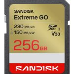 Другой аксессуар для компьютера SANDISK BY WESTERN DIGITAL  MEMORY SDXC 256GB UHS-I/SDSDXGN-256G-GNCIN 