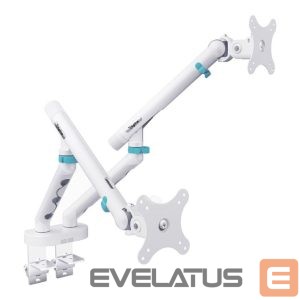 Кронштейн для телевизора Digitus  Desk Mount | Tilt, rotation, pivot | Dual design monitor mount, 2x 35", 2x 10 kg | 35 " | Maximum weight (capacity) 20 kg | White 